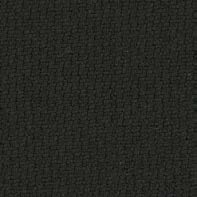 renewed-loop-60999.jpg